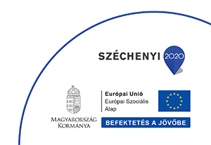 Weboldalnet IT Kft. Széchényi 2020-as pályázata