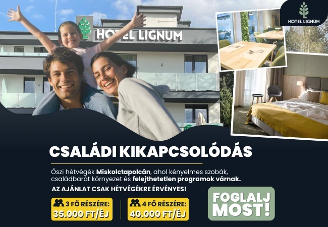 Facebook, Instagram hirdetéskezelés - Weboldalnet