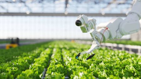 növénytermesztés robot